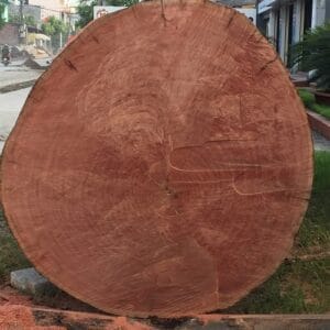 Gỗ Táu Mật