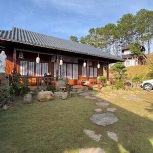 Gỗ làm nhà phổ biến nhất