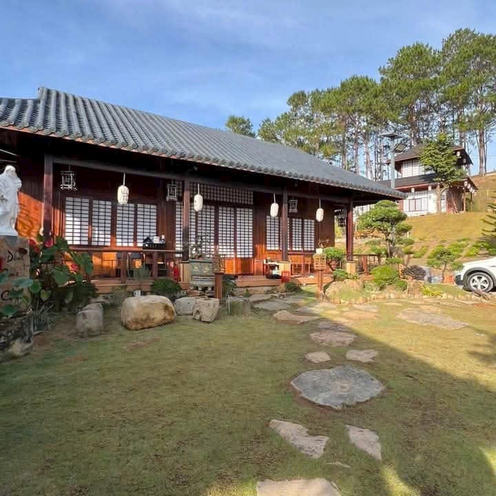 Gỗ làm nhà phổ biến nhất
