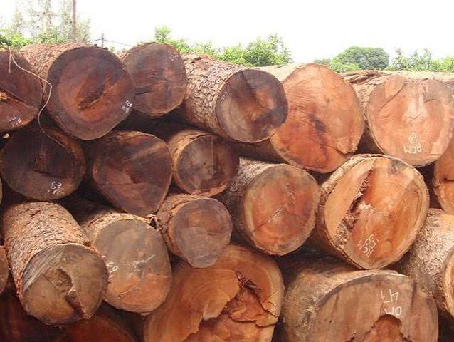 Gỗ Gõ Đỏ (Afzelia)