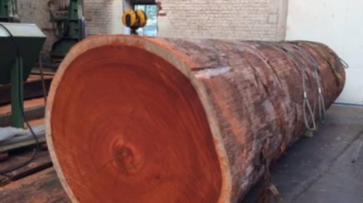 Gỗ Hương (Padauk)