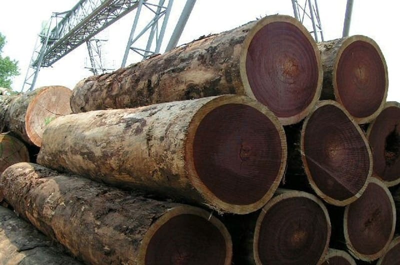 Gỗ Lim (Ironwood)