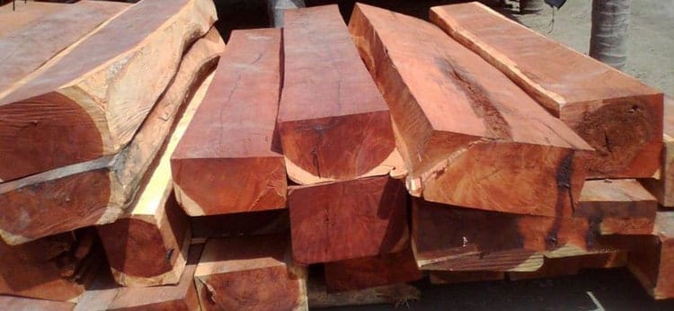 phân biệt gỗ