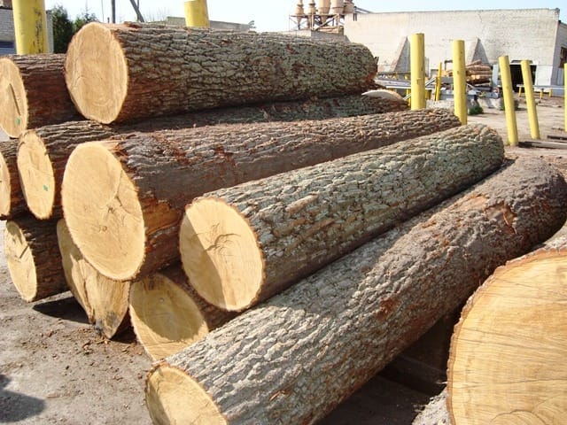 xử lý gỗ tự nhiên